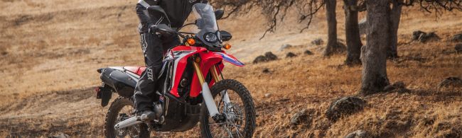 2019 Honda® Dual Sport CRF250L Rally for sale in Honda of Crofton, Gambrills, Maryland