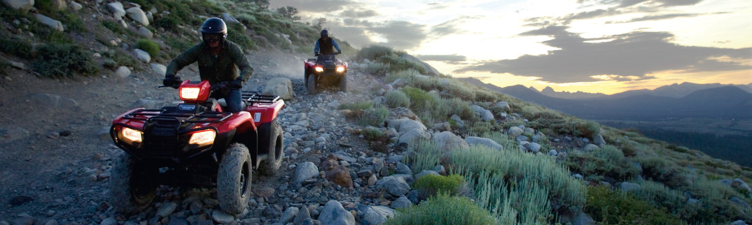 2019 Honda® ATV for sale in Honda of Crofton, Gambrills, Maryland